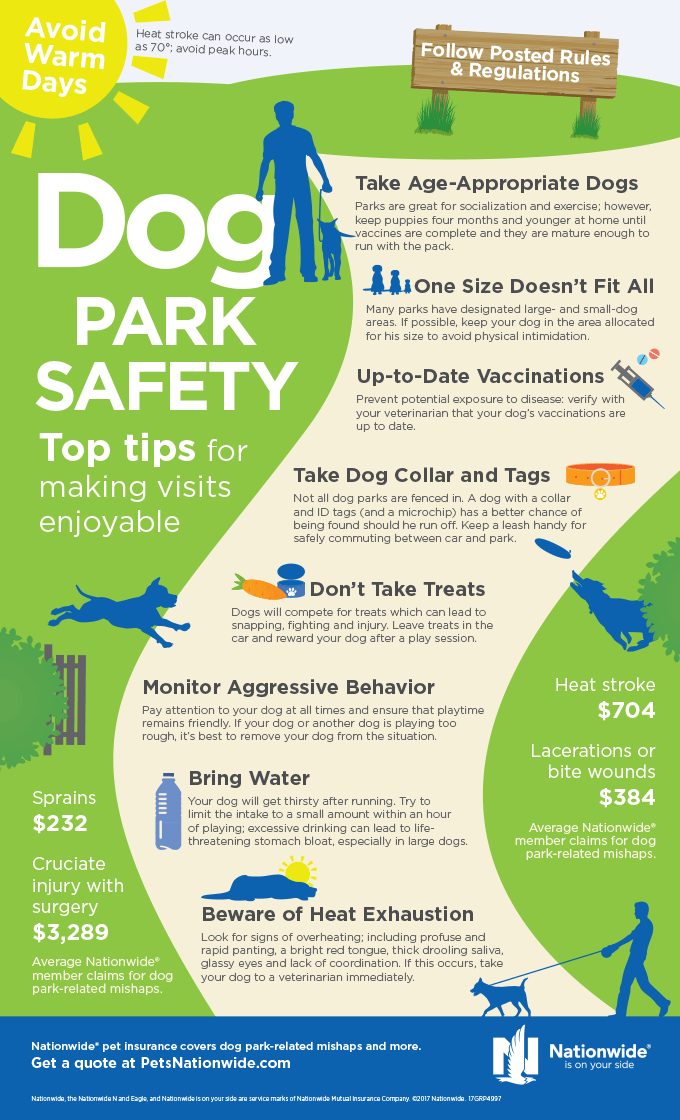 Dog Park Safety Infographic